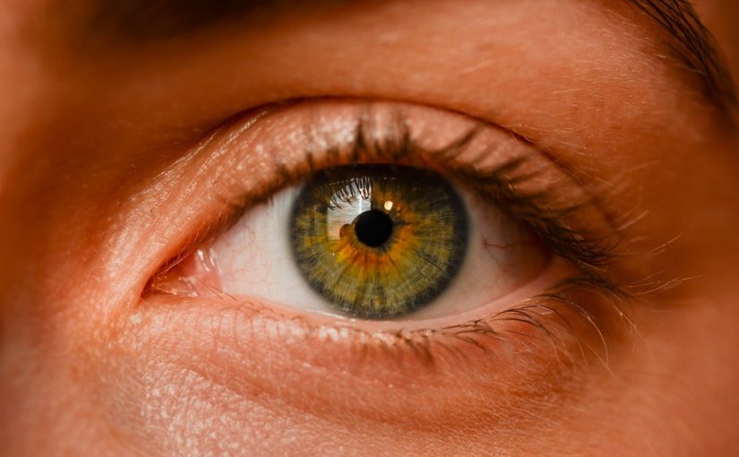 Oczy to ekstrawagancki organ. To właśnie dzięki nim rozróżniamy.